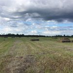 Large open field with cloudy sky