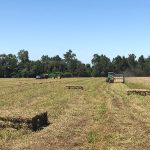 Large field with trees and tractor in the background