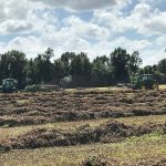Field with hay